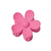 Hair Clips