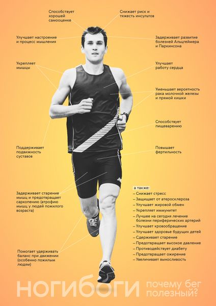 Влияние бега на здоровье Влияние бега на здоровье