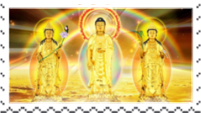 IMG-9249.png