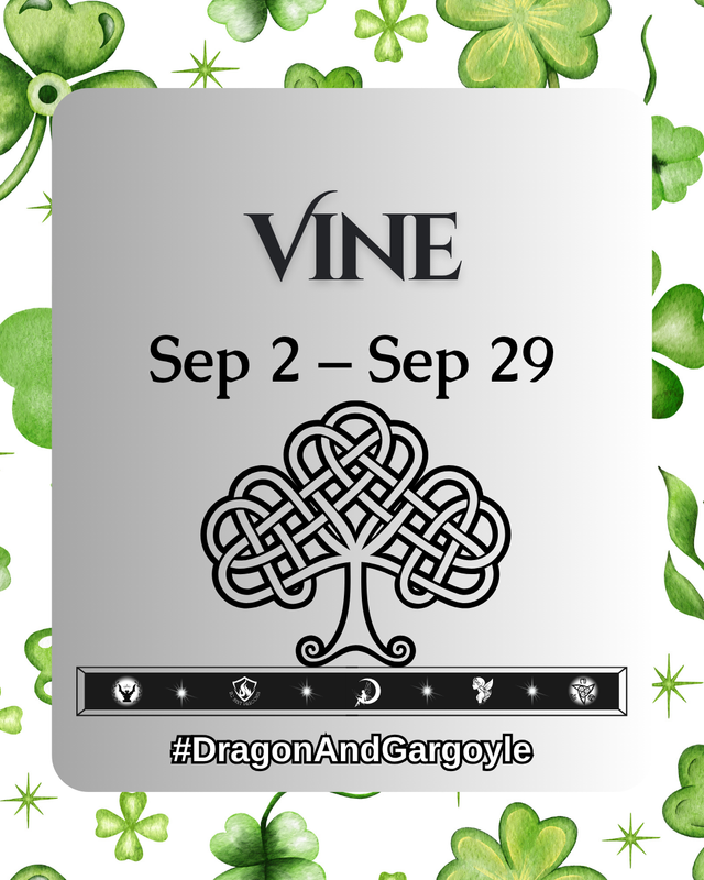 Vine