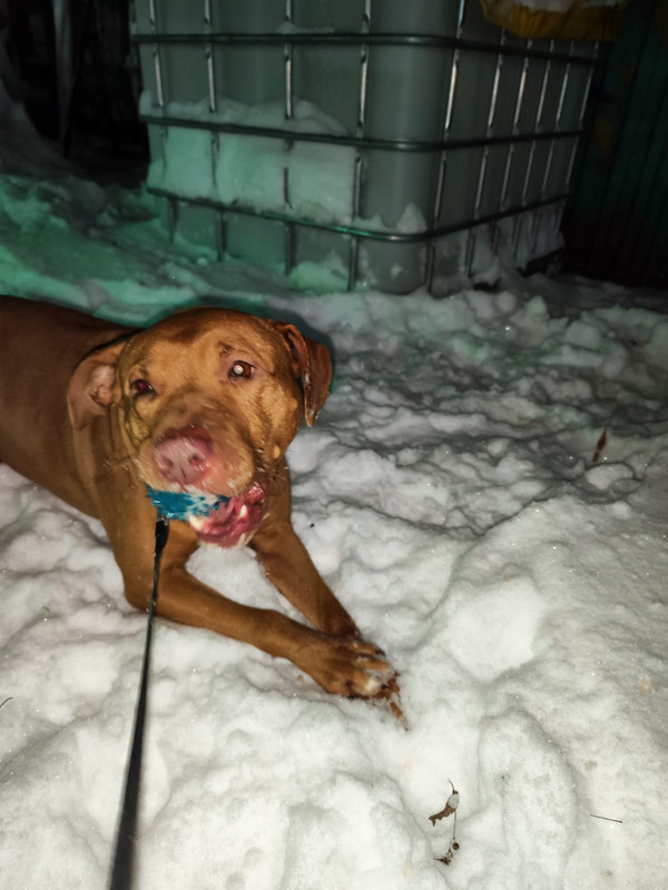 6E7D8F91-C7C5-4BE8-9A14-B4F619419D7F