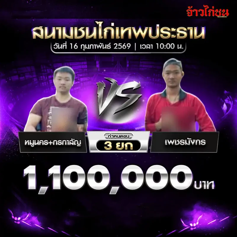 รูปคู่ที่ 2 หมูนคร+กรกาลัญ พบ เพชรมังกร สนามชนไก่เทพประทาน 16 กุมภาพันธ์ 2569