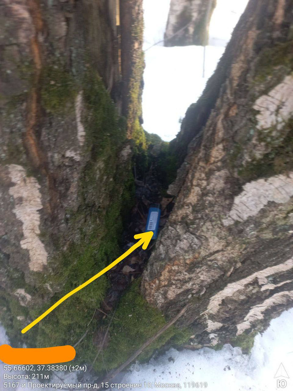 IMG 20260317 092902 002