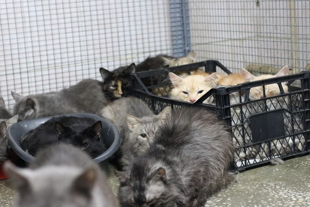 E305EBDE-49D5-48DD-B239-A1B65796A704