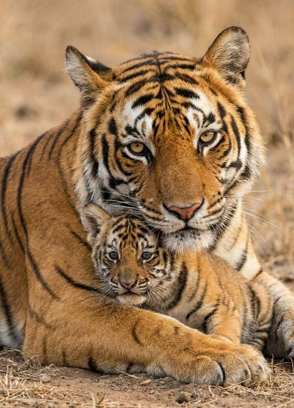 622356539 122133110745001201 362491757177023598 n