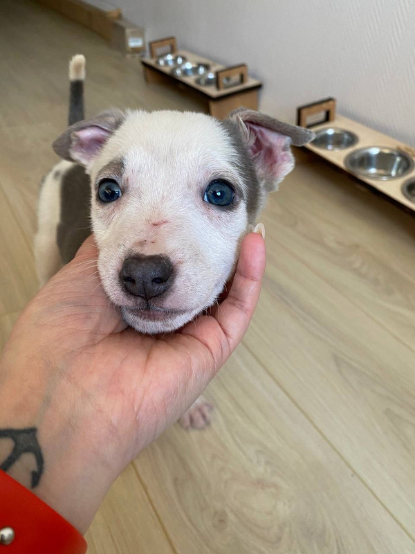 D2961241-029C-41DC-96F0-65A0BA634BE2