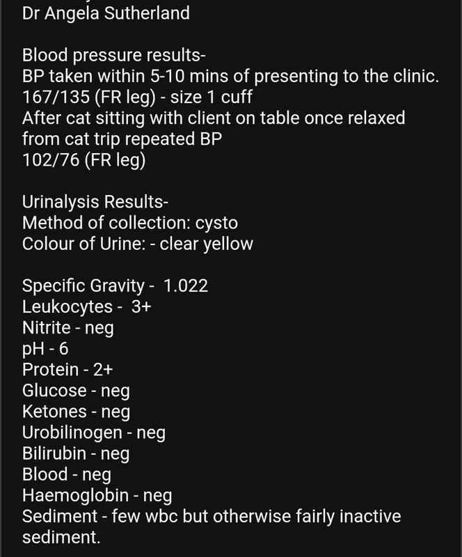 1000063299