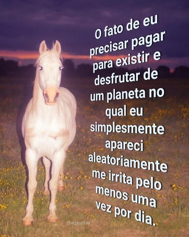 o fato de eu precisar pagar para existir e desfrutar de um planeta no qual eu sisplesmente apareci aleatorioamente me irra pelo menos 1 vez por dia