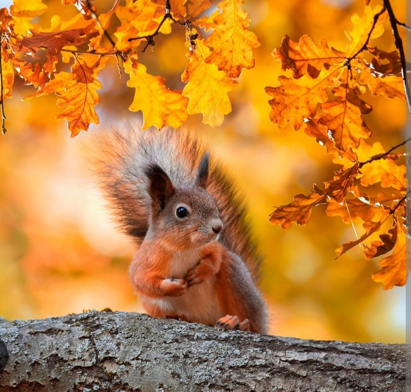 Screenshot_20221201-193638_Chrome