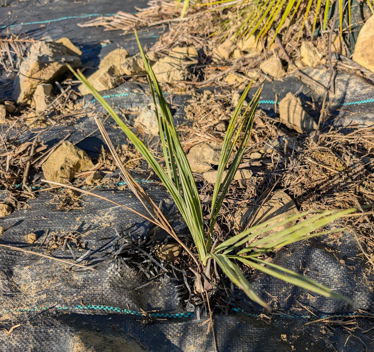 PXL 20251103 141059840 2