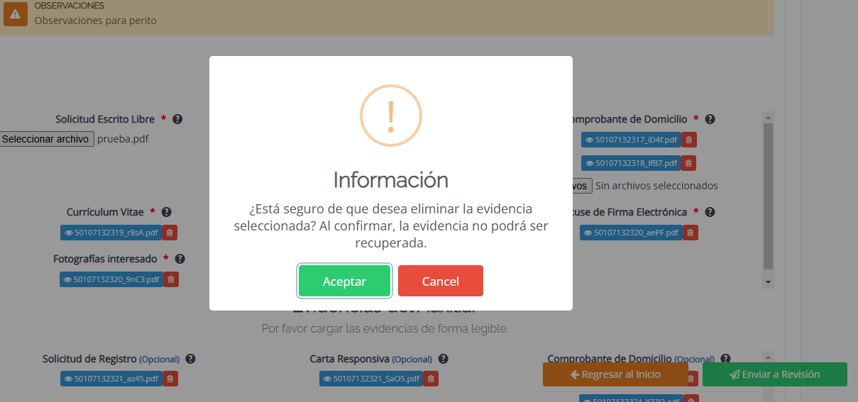 10-1-Observacion-eliminar-documento