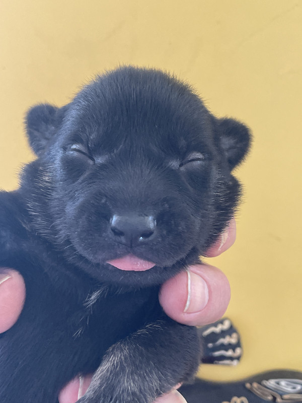 69D03EF1-713B-45B3-B0BB-28B5B1974C27