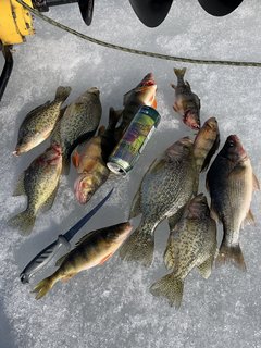 852510BC-A435-445A-A82F-0AA18AB3223C