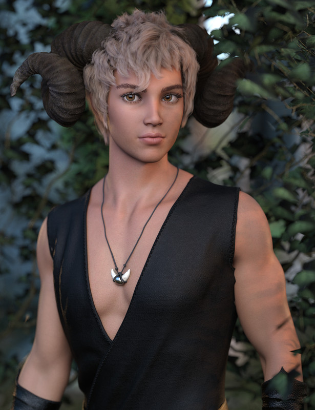 Aerys HD for Genesis 8.1 Male Aerys HD for Genesis 8.1 Male