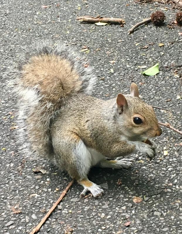 83E8B6E3-DAA0-4C2A-8A43-EEC6115010AA