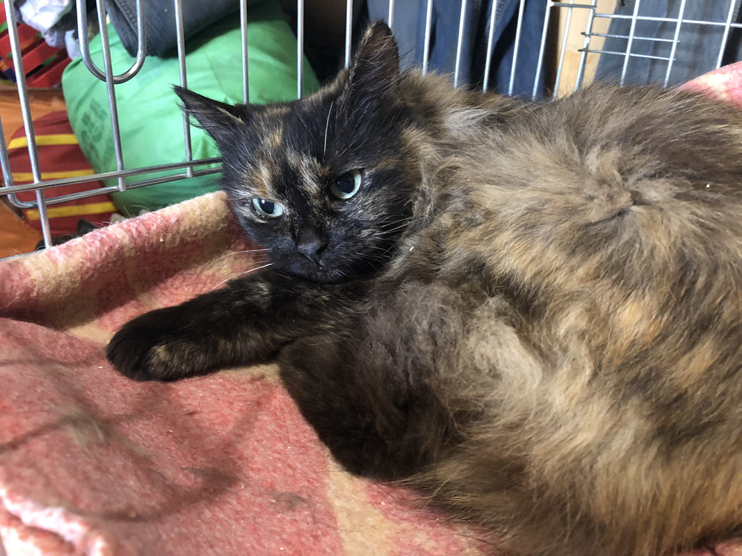 D10E03C7-4E54-47C2-A476-A3EF4314073D