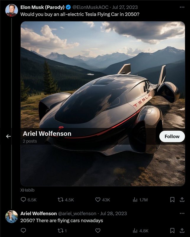 Screenshot-2024-07-20-at-19-12-05-Ariel-Wolfenson-ariel-wolfenson-X.png