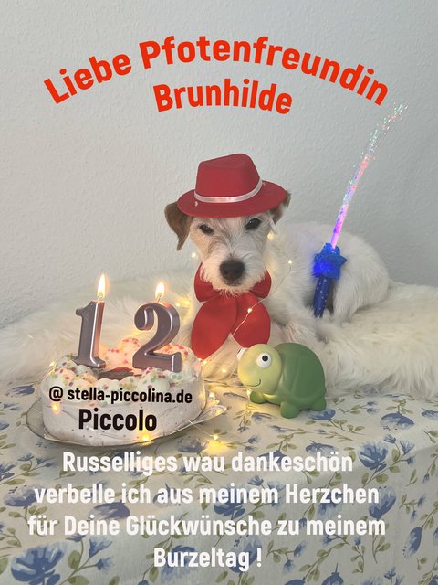 An den Beitrag angehängtes Bild: https://i.postimg.cc/3r2jP1PN/PICCO-12-J.jpg