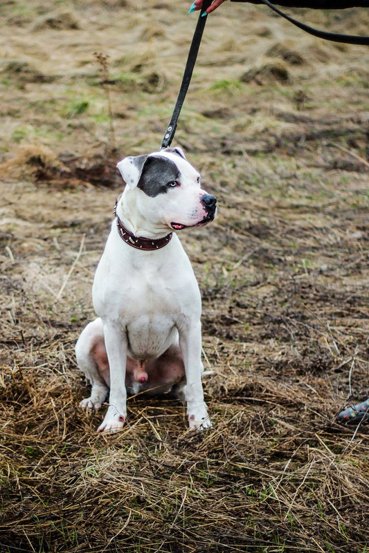 без имени-1087