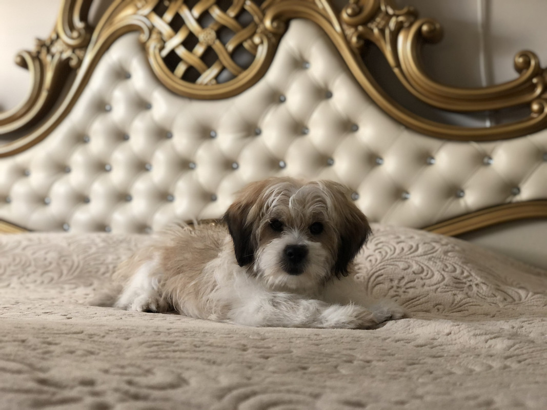 B48C31F4-4008-468C-844A-924C5AB49158