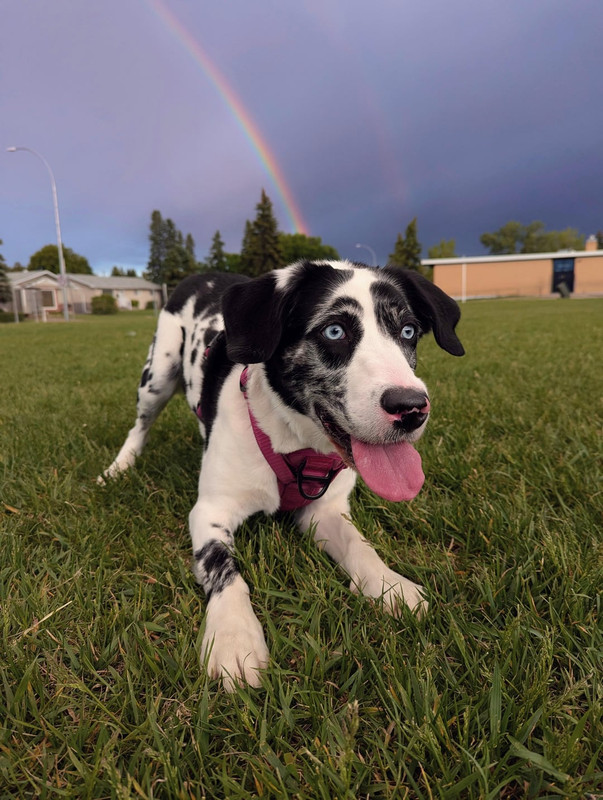 found-myself-something-even-better-than-a-pot-of-gold-v0-9l78vzk5sd6h1.jpg