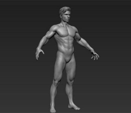 ArtStation – Man Realistic Sculpt – 3D Model