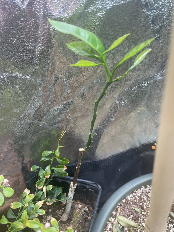 362D86A8-A35F-40F8-B258-E120A542C07D