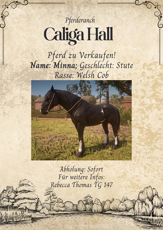 Caliga Hall Pferde Verkaufsflyer Minna