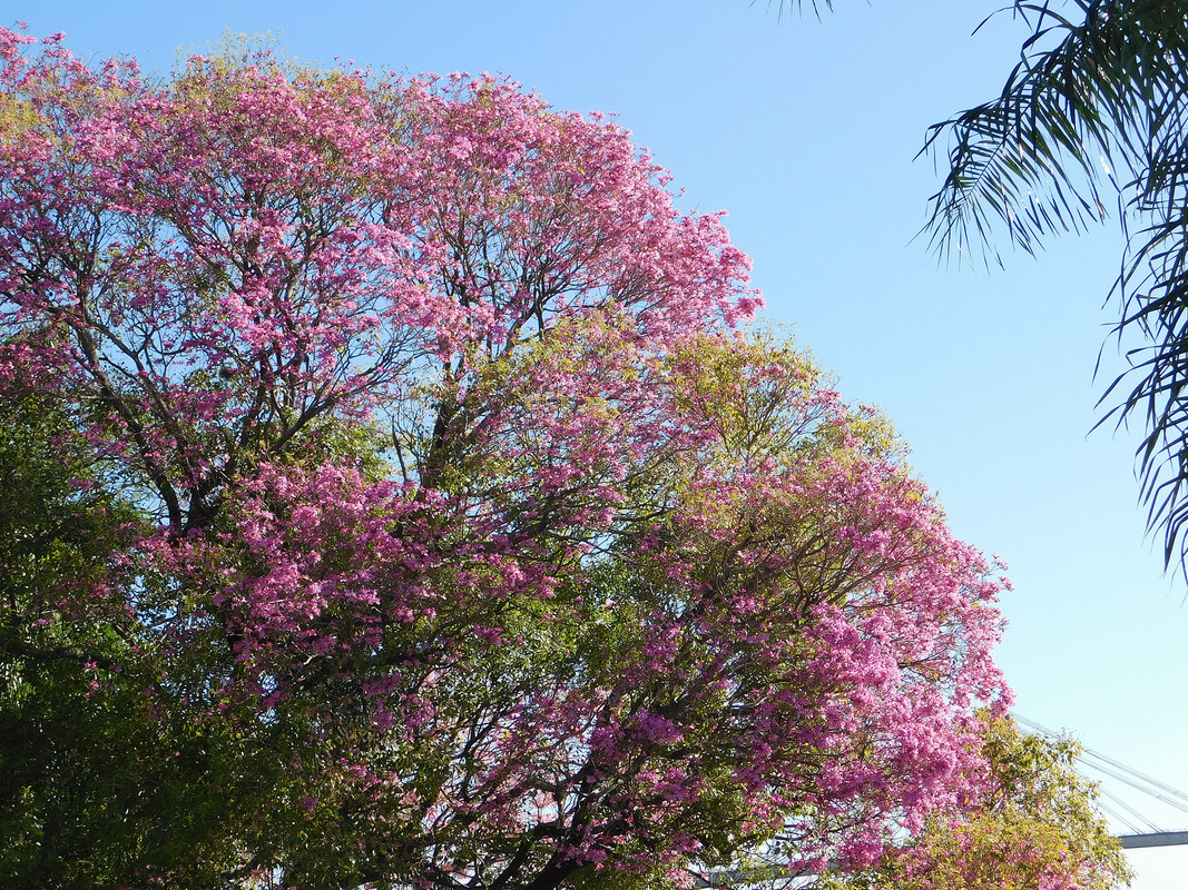 DSCN0442.jpg