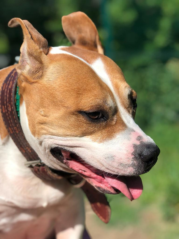 26283548-7623-41AD-8DBD-31C6B343F762