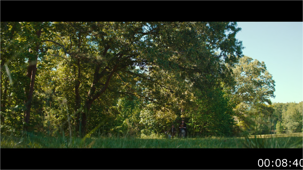 [Image: u2fdlx9d85un.png]