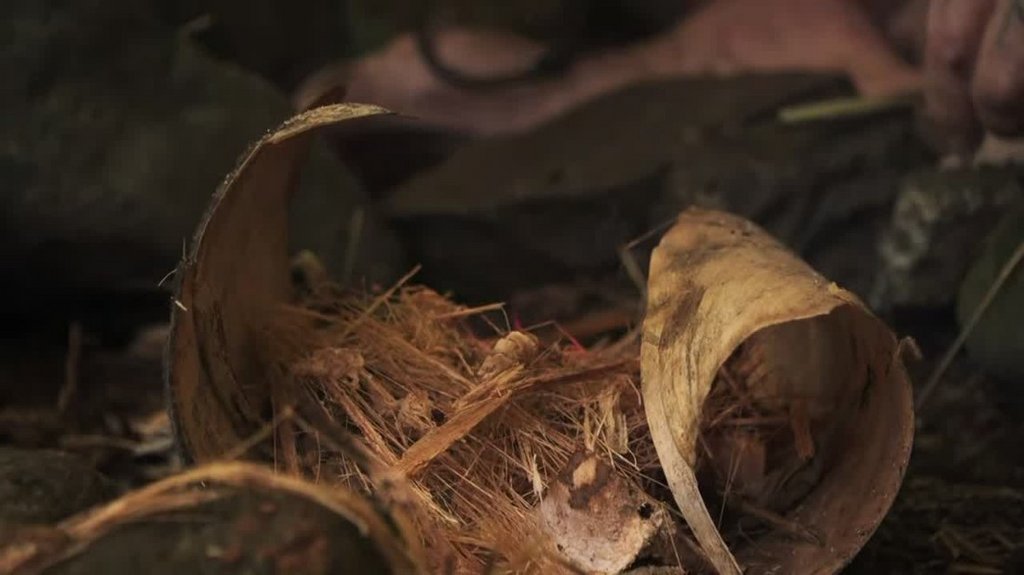 [Image: foma72yro1a7.jpg]