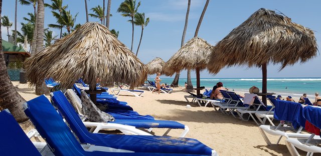 DIA 3 - HOTEL GRAND SIRENIS PUNTA CANA - Hotel Grand Sirenis Punta Cana + Samana + Cortecito (22)