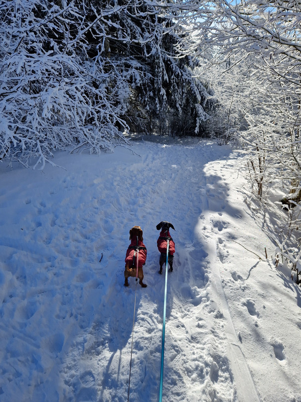 [Image: 20240120-142011.jpg]