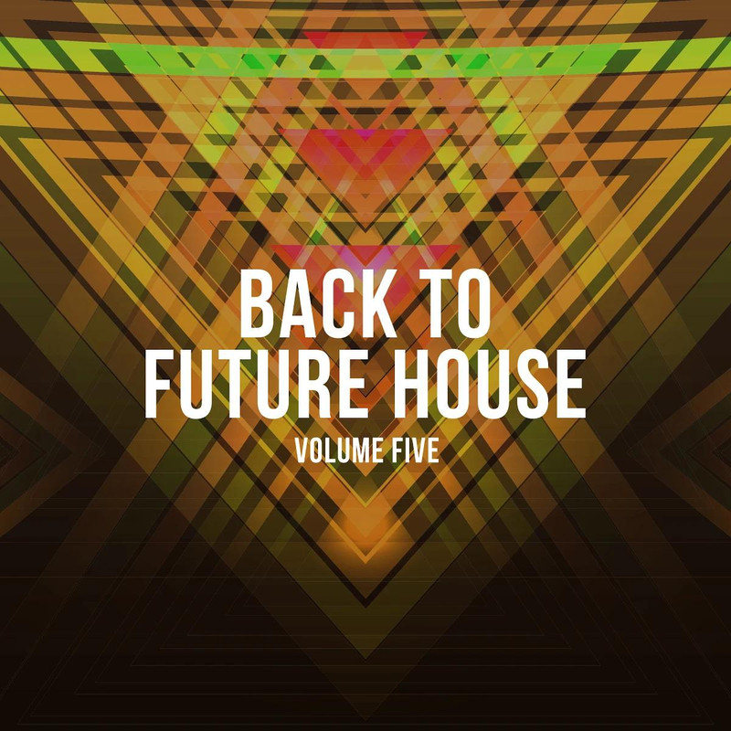 VA - Back To Future House Vol 5 (2020) mp3 320 Kbps