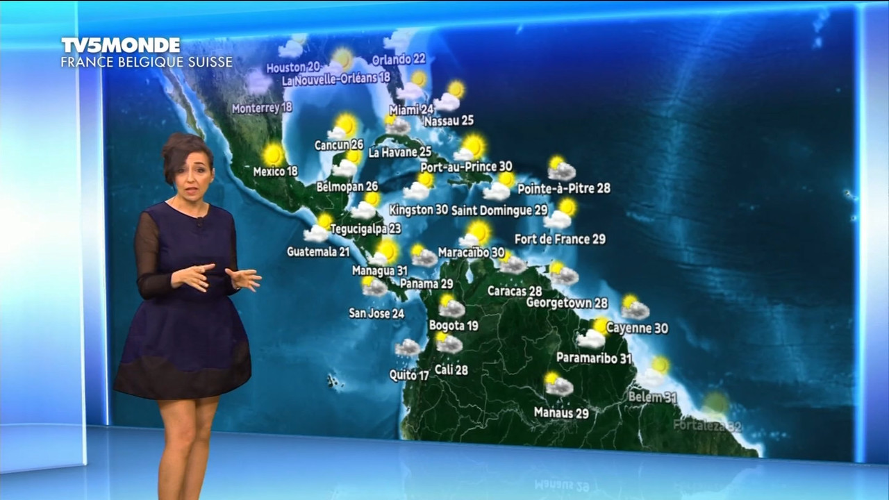 12.28 - 17.26.00 - Météo. Le bulletin météorologique international.ts_snapshot_06.01.420