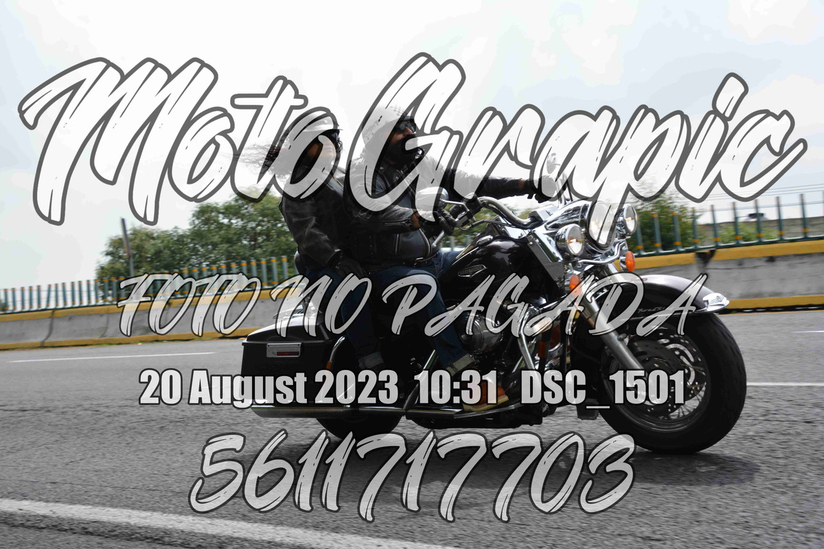motgr DSC 1501 — Postimages