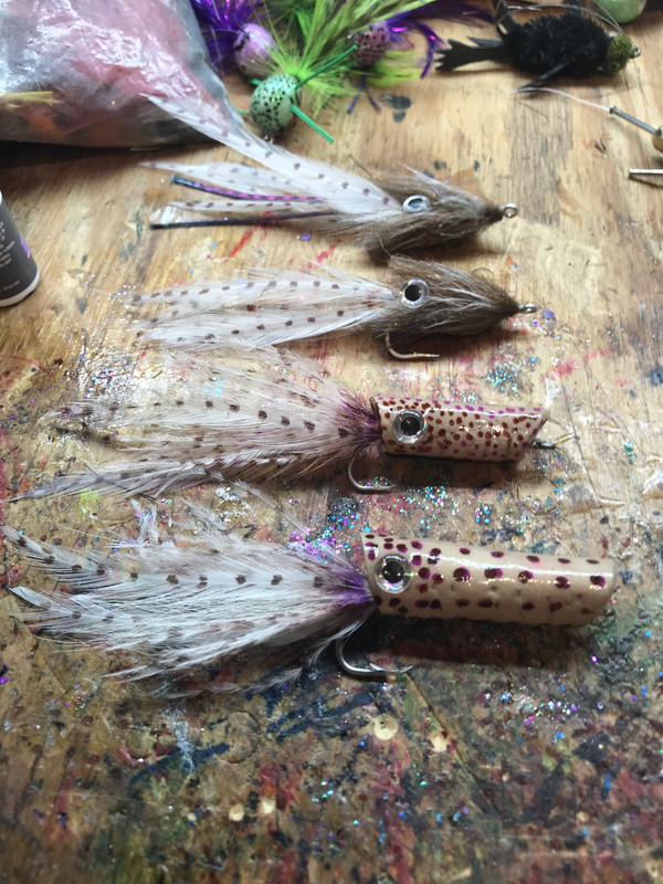 6ABE5B89-5894-416F-AA15-114E82450662