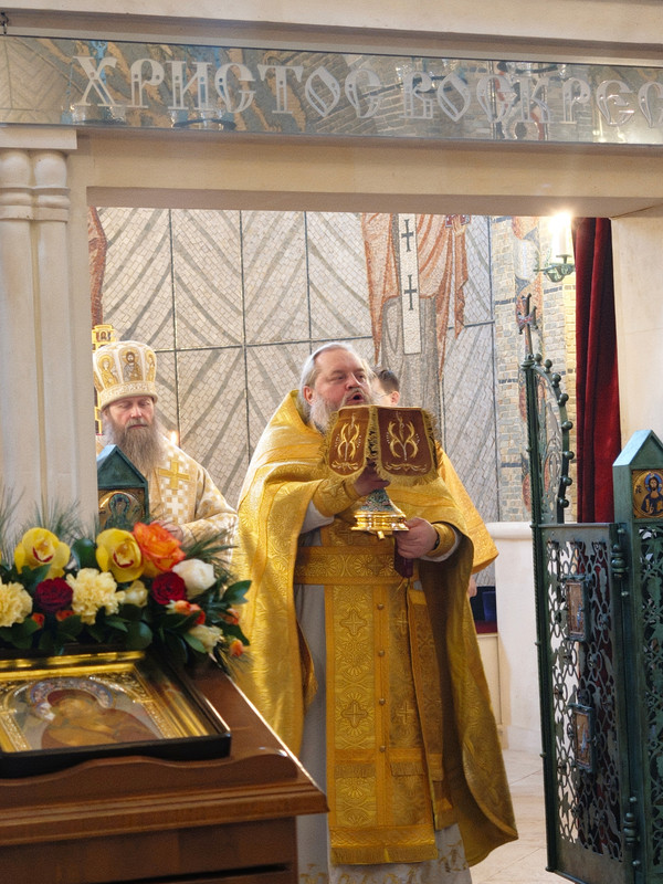 In Shot 20260212 164114620