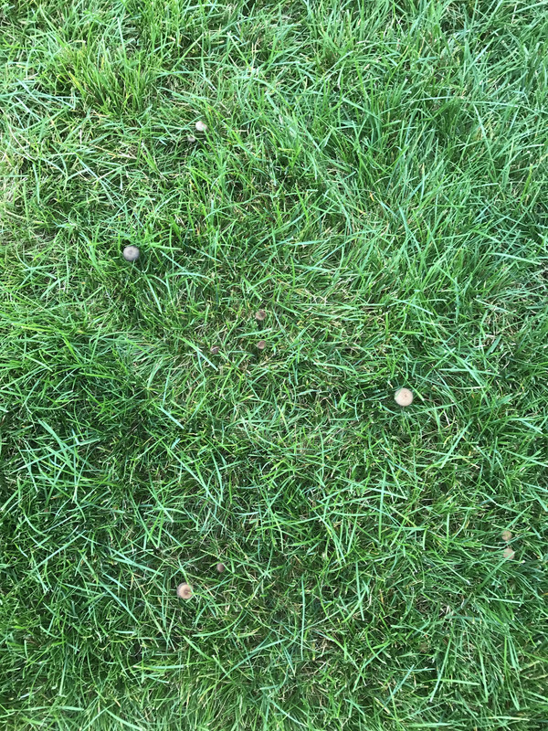 27C667B4-A17E-4A23-A4A6-9FEB322039DA