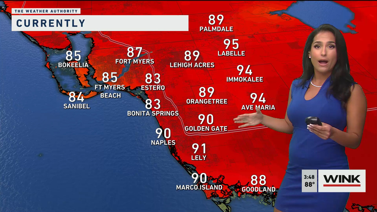05.24 - 20.00.00 - WINK News at 3 00 p.m._001.ts_snapshot_00.35.364