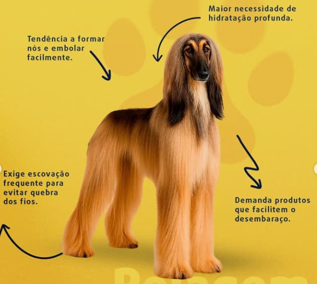 Pelo brilhoso após tratamento — Reconstrução Diamond