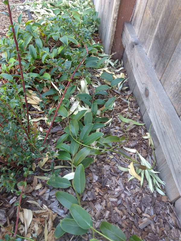 IMG_20201023_125752107