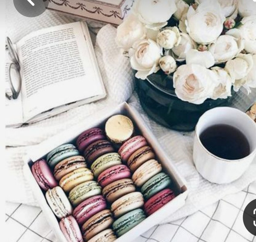 Screenshot_20230310_001614_Pinterest