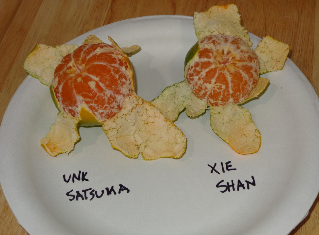 Xie_Shan-P2(9-23-21)