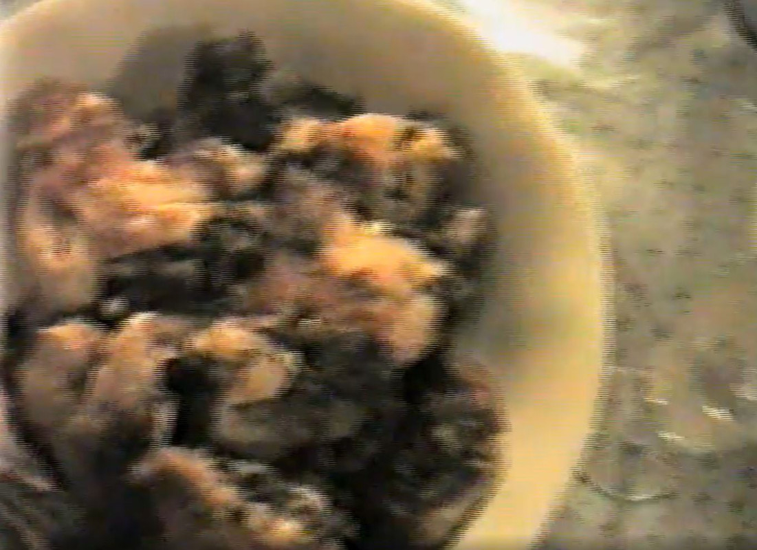 2025-06-24 14_00_08-Яндекс Диск