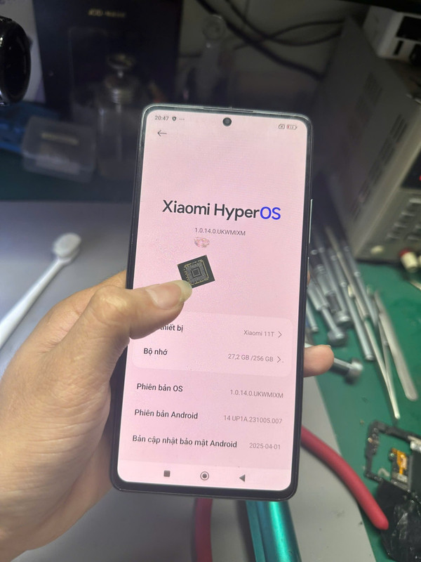 photo_2025-07-08_10-21-30