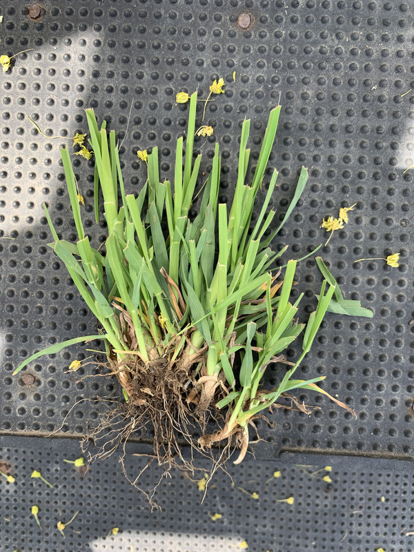 82CE8AE8-AF10-4AEF-A907-88F931315A8A