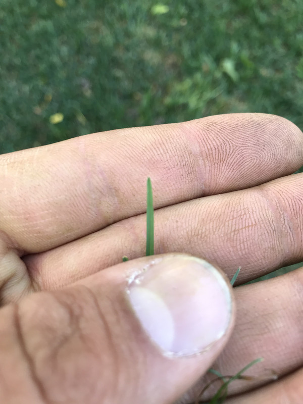 AAEC1844-A458-49BA-AE49-A9E59E99677E