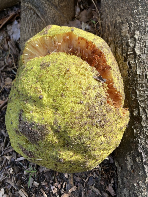 DA034277-AB56-44E0-92DE-219CA5ECE461